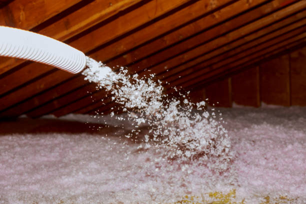 Best Eco-Friendly Insulation in Fayette, MO