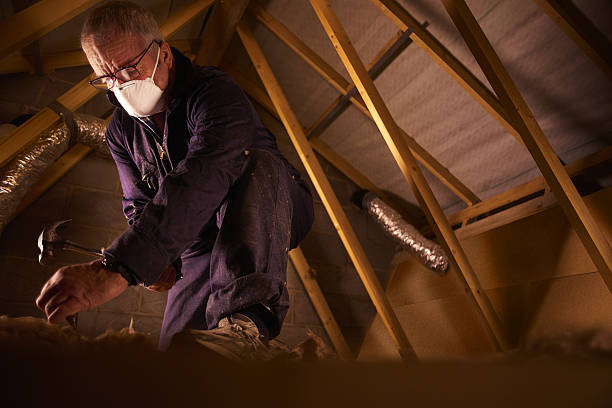 Best Commercial Insulation in Fayette, MO